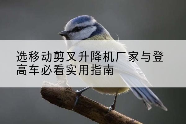 兴城电动升降机厂家-选移动剪叉升降机厂家与登高车必看实用指南