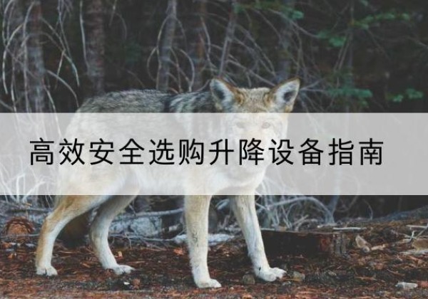 兴城升降货梯厂家推荐-*安全选购升降设备指南